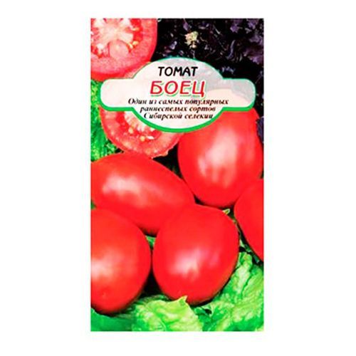 Семена Сибирские Сортовые Семена Томат Боец 20 шт - купить с доставкой надом в СберМаркет