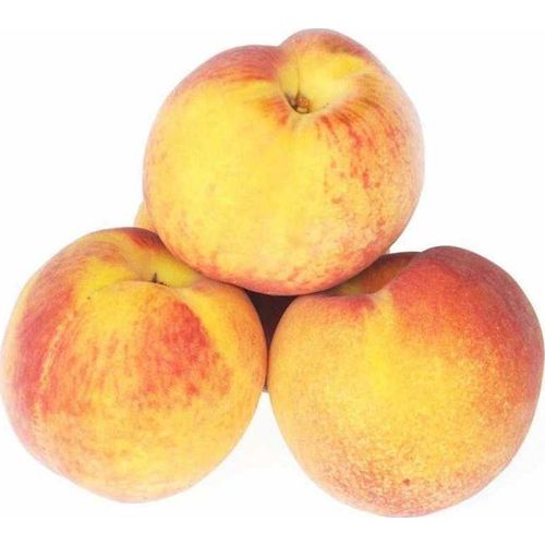 Персики с желтой мякотью
