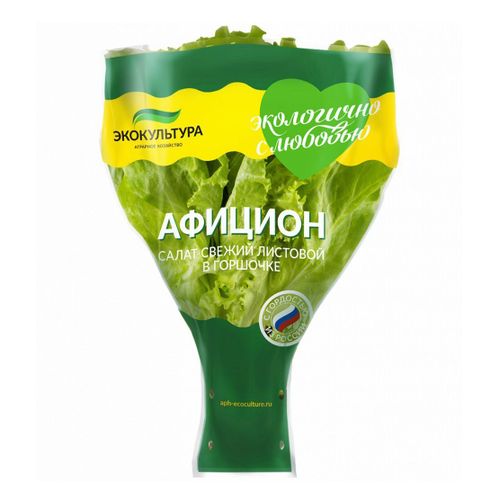 Салат листовой Агрохолдинг Московский Витаминный в горшке 50 г