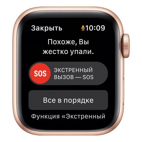 Умные часы Apple Watch SE GPS 40mm Gold Aluminium/Starlight Sport ...