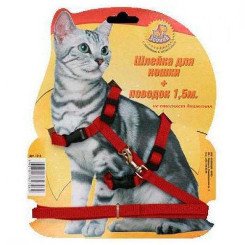 Шлейка Зооник для кошек с поводком из стропы 10 мм х 1,5 м - купить с  доставкой на дом в СберМаркет
