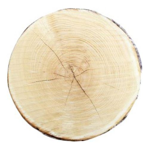 Подушка Bolan Дерево 40 х 40 х 5 см полиэстер светло-коричневая
