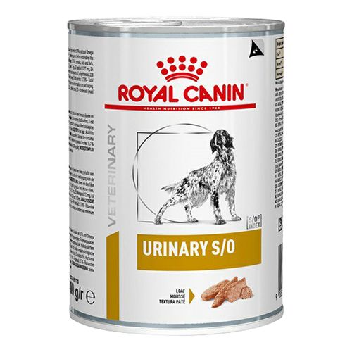 Royal canin best sale diet urinary