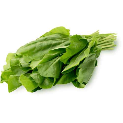 Щавель свежий 200 г - купить с самовывозом в СберМаркет