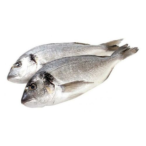 Дорада Fish & More свежемороженая непотрошеная тушка ~450 г