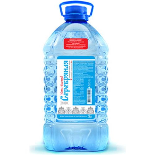 Вода природная питьевая минеральная Серебряная негазированная столовая 5 л х 2 шт