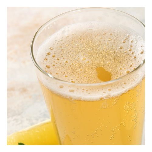 Комбуча ВкусВилл Чайный гриб Мохито 330 мл купить для Бизнеса и офиса ...