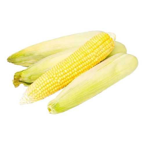 Кукуруза ~1 кг