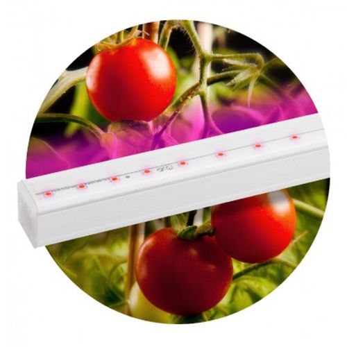 Светильник линейный Эра fito-14W-Т5-N для растений красно-синий спектр LED 220 В белый