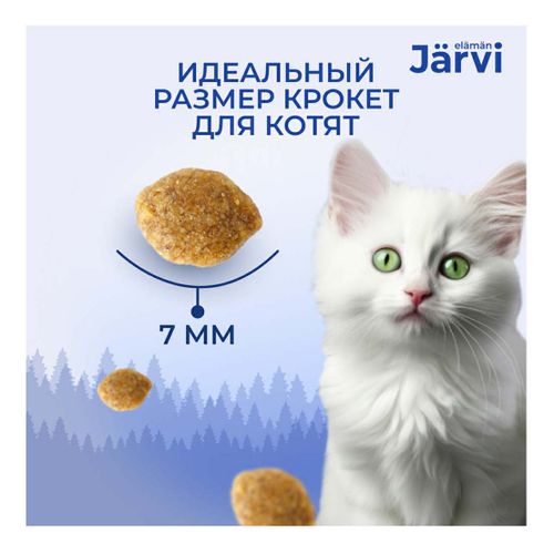 Jarvi корм для собак отзывы