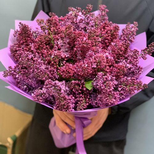 Букет Сирени 15 шт - купить с самовывозом в СберМаркет