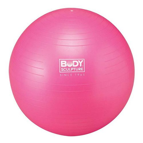 Мяч Z-Sports гимнастический 65 см