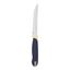 Ножи для стейка Tramontina Multicolor 12,5 см 2 шт