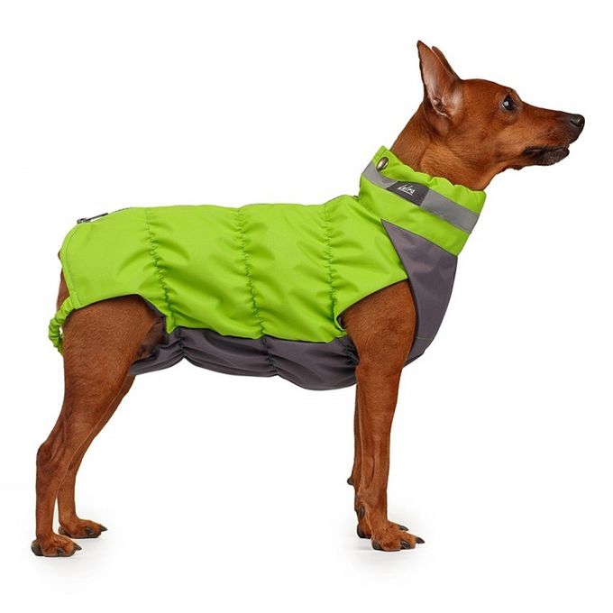 Одежда для собак laira. Лаура одежда для цвергпинчера. Одежда для собак лайра. Одежда для собак laira. Комбинезон для собак мембрана.