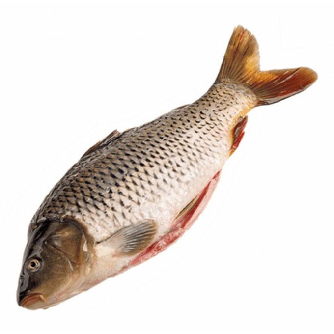карп (cyprinus carpio). рождественский карп по-чешски. чешский рождественский карп. карп с овощами. карп охлажденный ~ 2,5кг.