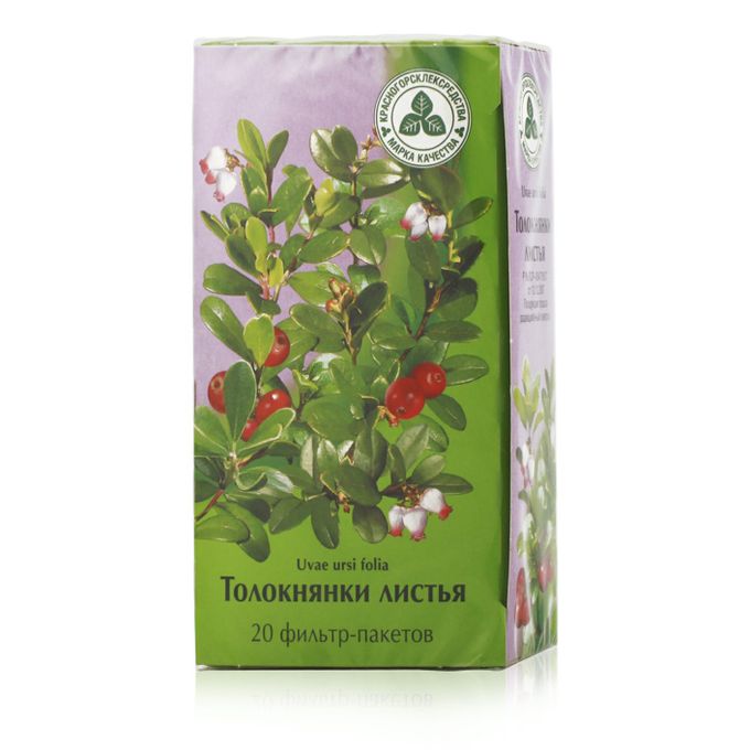 Лекарственное сырье толокнянки. Лекарственное сырье толокнянки. Лекарственное сырье толокнянки. Листья толокнянки обыкновенной. Толокнянка обыкновенная препараты.