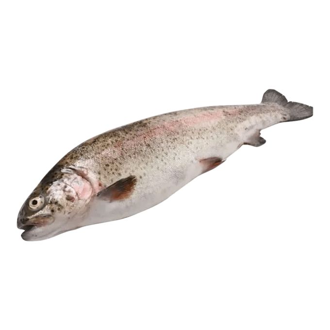 Форель радужная потрошеная. Форель радужная 600 грамм. Форель реклама. Форель неразделанная 500 - 800. Визитки для рыбы форели.