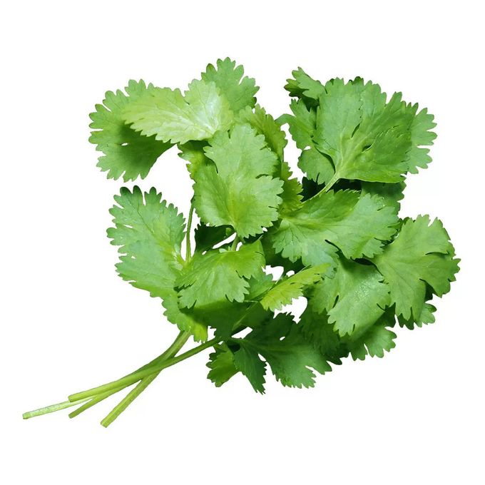 Кинза микроэлементы. Укроп петрушка кинза. зелень петрушка кинза. кинза cilantro. зелень кориандр.