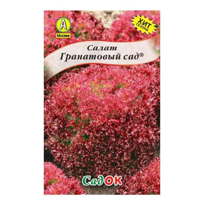 Гранатовый браслет салат. Салат гранатовый сад. Салат гранатовый сад. Салат с гранатом. Салат листовой лолло росса.