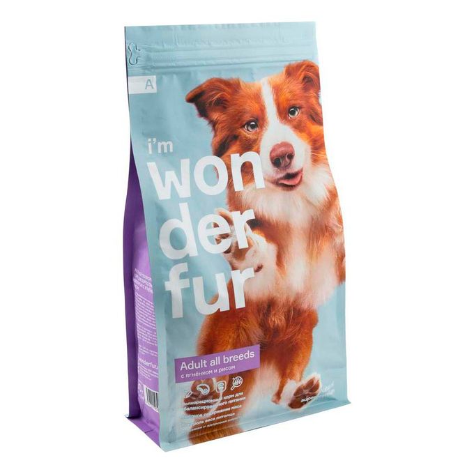 Бордер собака пятнистый. Маламут. 800 собак. Черно белая пушистая собака. Бордер колли щенки.