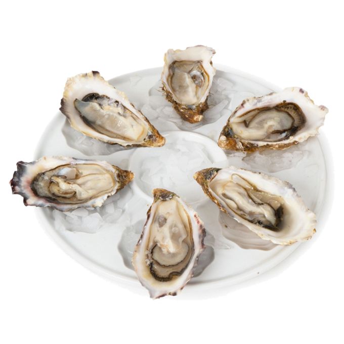 Слет ресторан. La perla seafood bar. Устрицы в кафе парижа. Дешевые устрицы в москве. Устрицы в заморозке.