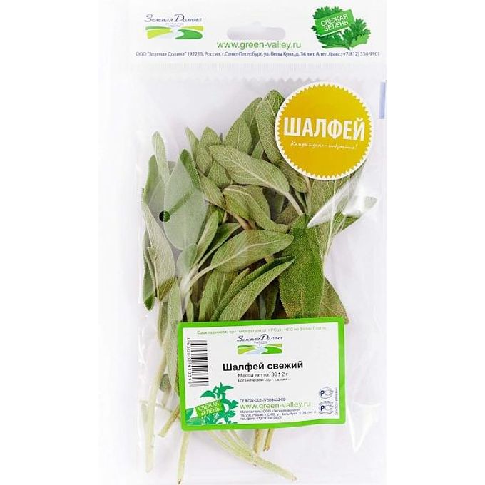 иконки круглые однотонные шалфей. шалфей свежий купить. шалфей сушеный 50г. шалфей цитрон. сальвия дубравная многолетняя.